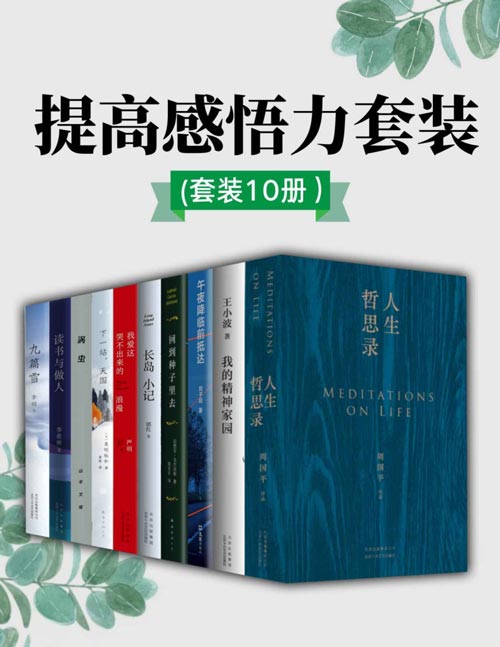 提高感悟力套装（套装10册）拒绝成为工作机器，匆忙赶路、日渐麻木的同时，停下来思考，为感悟生活抛砖引玉